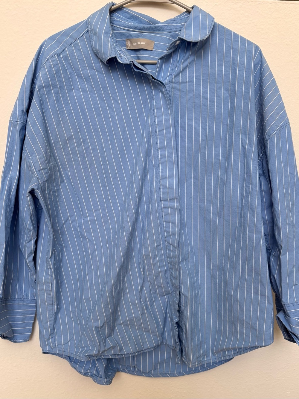 Everlane Blue Pinstripe Button-Up Shirt
